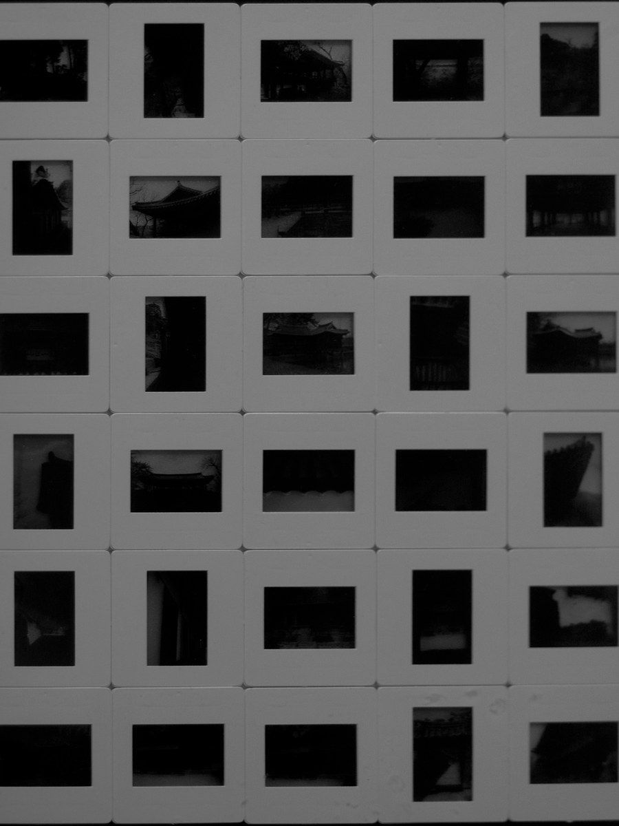 신동관 개인전 III